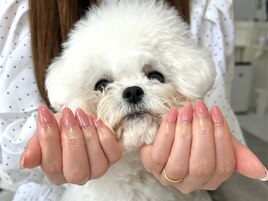 ちゅるんワンカラー