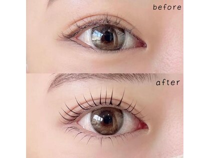 エヴァーグロー(ever glow)の写真