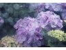 ◆新規様 Summer ワンカラー＋定額シンプルアート2本】ハンド¥4980