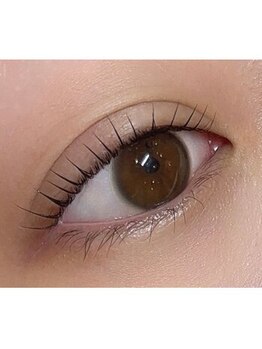 シャンティー ヒラギシ(Shanti hiragishi)/