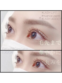 ルシカ(LUCICA)の写真/《名古屋初！まつげケア専門サロン》毛質改善したい方に♪organicケラチン配合！地まつ毛強化コース¥6200★