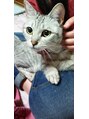 整体 ミラ(Mira)&nbsp;先住猫のお姉ちゃん。
