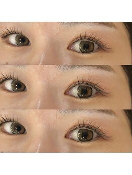 ジョリー(Jolie)/