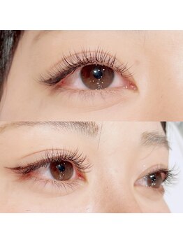 メリス(Mellis)/フラットラッシュ120本