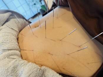 ハリドコロケン(KEN)/お通じが滞っている方にも