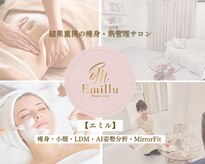 エミル(Emillu)