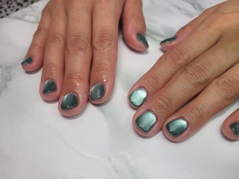 トランク(Trunk)/マグネットワンカラー