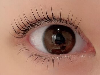 カラン 焼津店(CALIN)/上下ラスティングカール