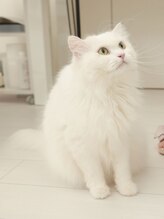 エヌプロテクト(N.Protect)&nbsp;雪マロ くん