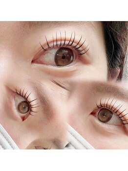 テイラー(Taylor)/エクパ140本 SONE