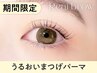 【2月5日まで限定】潤いまつげパーマ ¥6600→【¥2500】[三宮] 