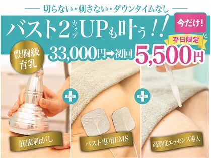 美人バスト 南森町店の写真