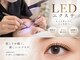 レネージュ 四谷三丁目(Reneju)の写真