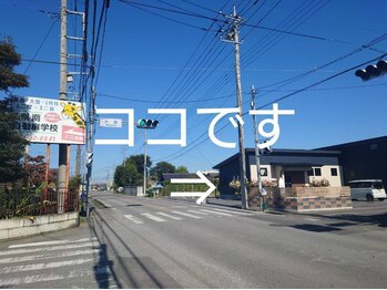 ジェン アンド ニコ(Jen&Nico)/