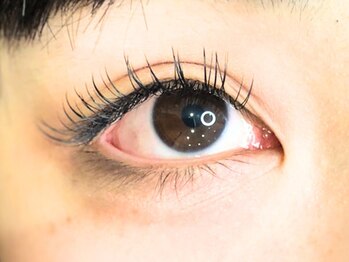 アイビーラッシュ(Eye be Lush)/フラットラッシュ