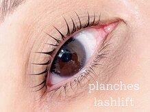 ウィスタリア フィールドプランシュ(WISTARIA FIELD-PLANCHES)/根元立ち上げ♪