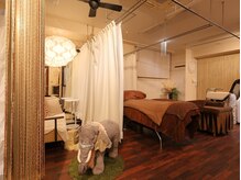 シューシャ(xuxa)