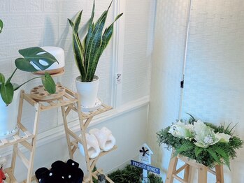 モムクラス(Momu-class)/Momu-class