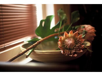 スパ クイクレイディト(Spa Qui Creidet)/