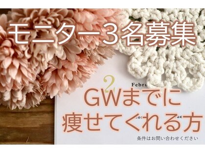 ブルーローズの写真