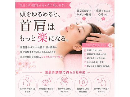 さくらの写真