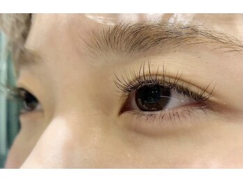 アレーズ バイ ベニボンズ(Alaise by Beni Bond's)/Cカール 100本 11ミリ 