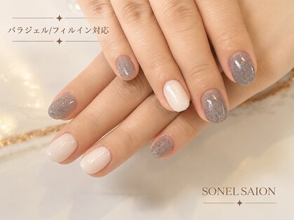 ソネル(SONEL)の写真
