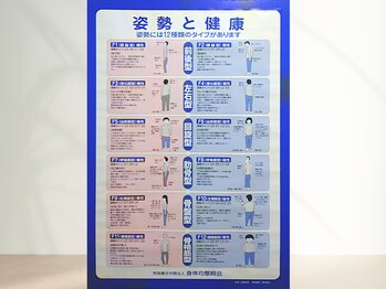 はは猫のハムストリングス/今どの体型に当てはまる？