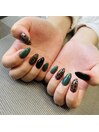 定額シンプルコース