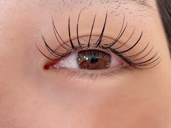 リボン(RIBBON)/フラットラッシュ100本