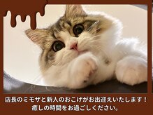 晴々の雰囲気（ミモザ店長と新人のおこげが癒しをさらに提供いたします！）