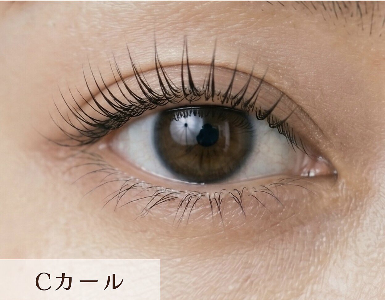 セット割◇ラッシュリフト+トリートメントケラチン付き￥8,800→￥7,000