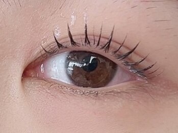 チッチ 下関店(chicchi)/ラッシュリフト