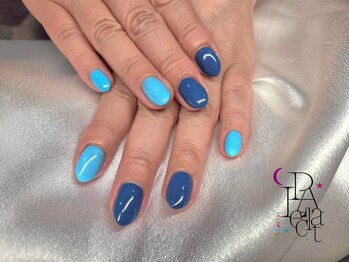 パルエクラ(PALeclat)/ワンカラー