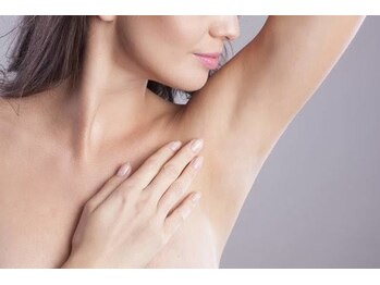 ヘレナモルフォ(Helena Morpho)