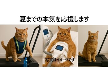 サロンドセレスト(Salon de Celeste)