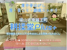 コウジュウドウプラス(耕揉堂Plus+)