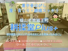 コウジュウドウプラス(耕揉堂Plus+)