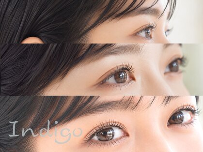 インディゴ(Indigo)の写真