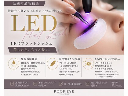ルーフアイ(ROOF EYE)の写真
