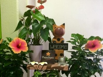 マハナ(mahana)/エレベータ向かいのお部屋です