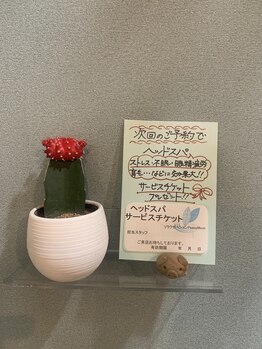 ピース ムーン(Peace Moon)/次回ご予約特典