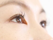 サロンラフィーネ(Salon Raffine)/80本