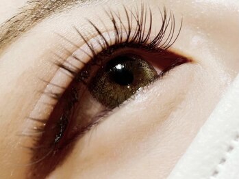 フレイムス アイラッシュ アンド ネイル(FRAMES)/フラットラッシュ140本/付け放題