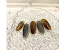 定額スタンダード