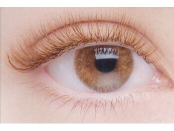 チック(chick)/LEDフラットボリューム80束