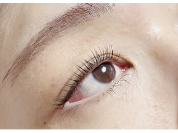 アンボワーズ(Amboise)/パリジェンヌ