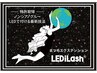 【土日リピーター限定】LEDiLashフラット60～120本まで