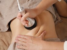 ジュエルオーキッド(Jewel orchids)/痩身