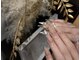 アイネイルサロン(i nail salon)の写真